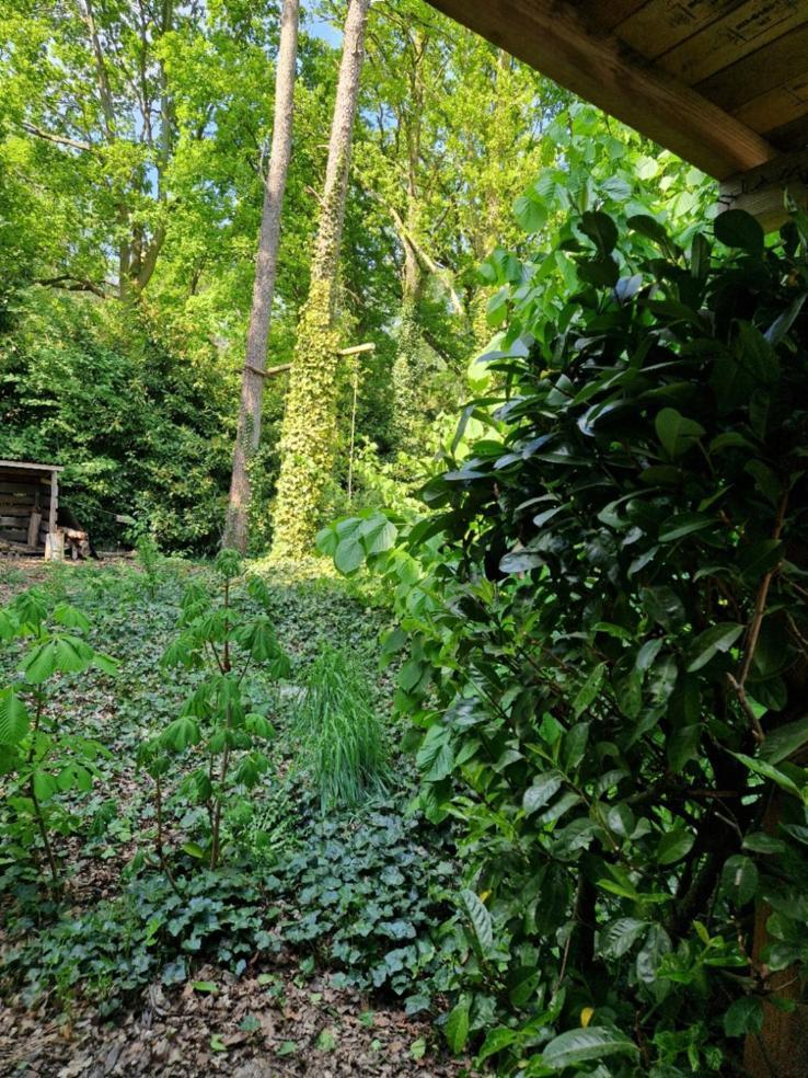 Benb Op De Vleet Vrijstaande Accommodatie Plantage Centrum Екстер'єр фото